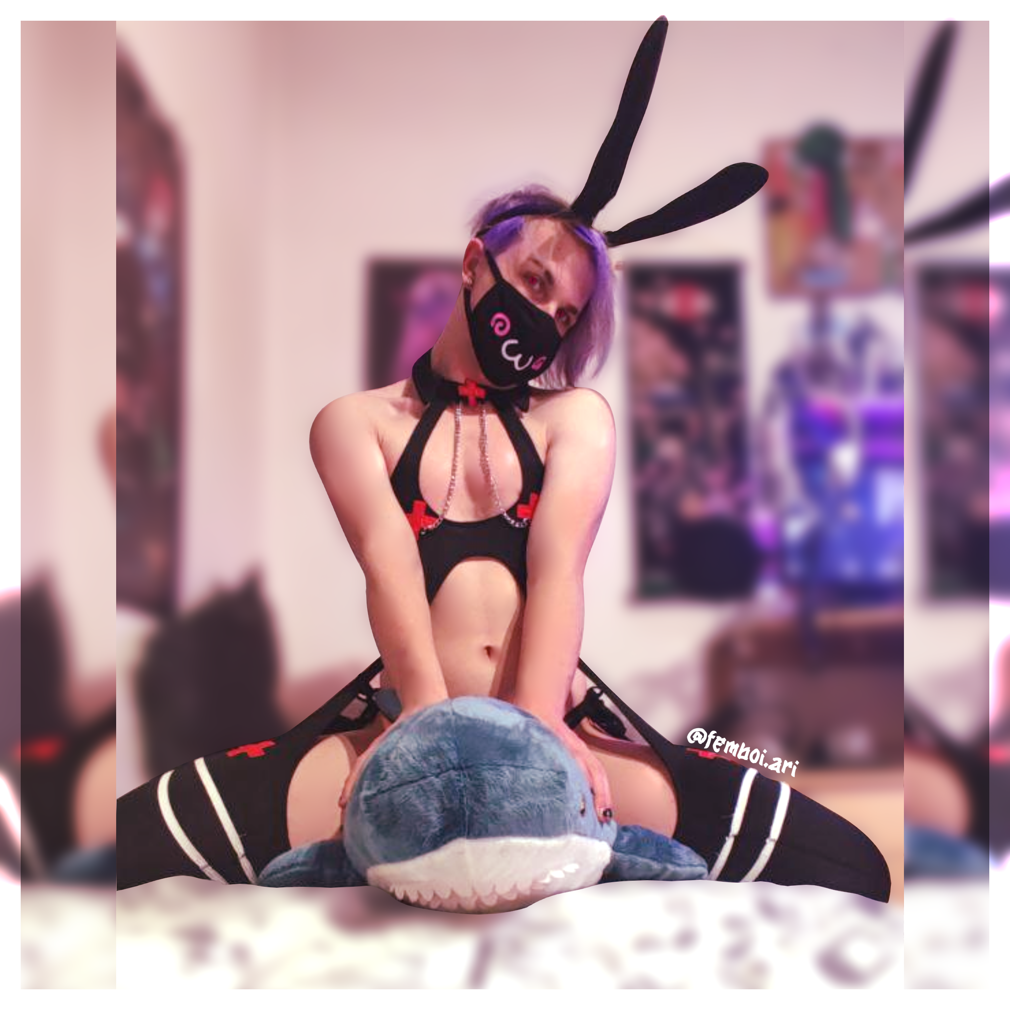 Sharkie Plushie (Free Gift)