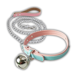 Pastel Choker & Leash