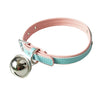 Pastel Choker & Leash