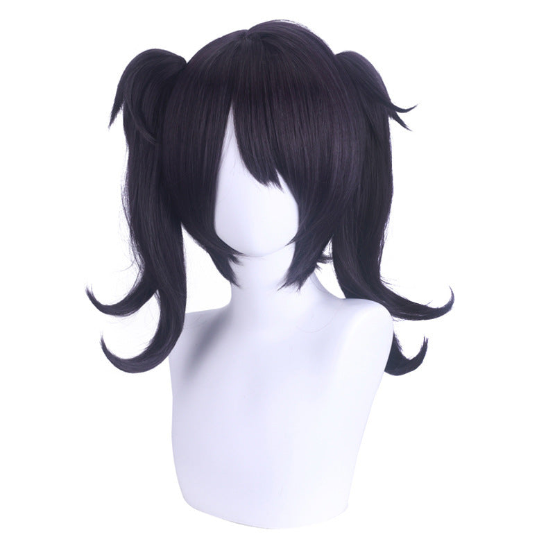 Double Ponytail Wig