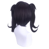 Double Ponytail Wig