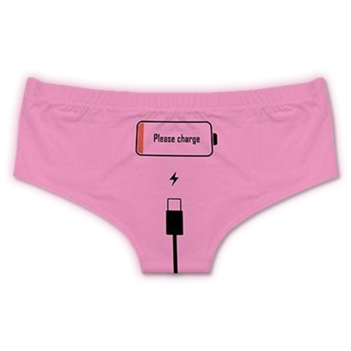 "Please Charge" Cotton Panties